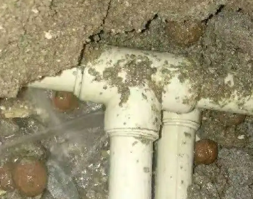 萨迦测漏水多少钱