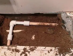 萨迦测漏水哪家好