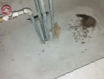 萨迦卫生间测漏水价格明细