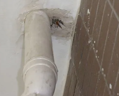 萨迦漏水检测哪家好